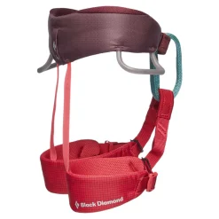 Gurte^Black Diamond Kid's Momentum Harness