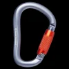 Karabiner^Black Diamond RockLock Twistlock Carabiner