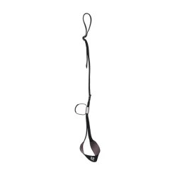 Eis & Alpin^Black Diamond Slider Leash