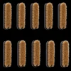 Ersatzteile|Klettern^Black Diamond Stick Brush Rpl - Sml - 10 Pck